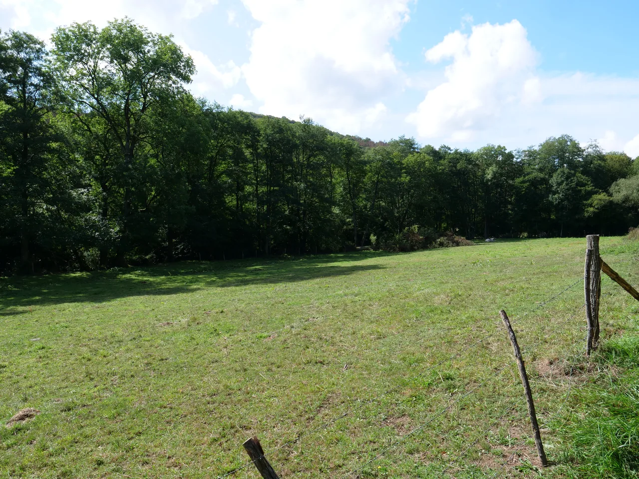 Schlehbachtal mit Kaldenbach