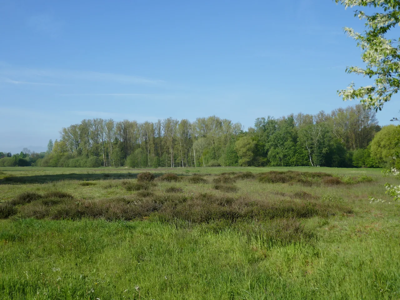 Wulfesknapp/Krähenbrink