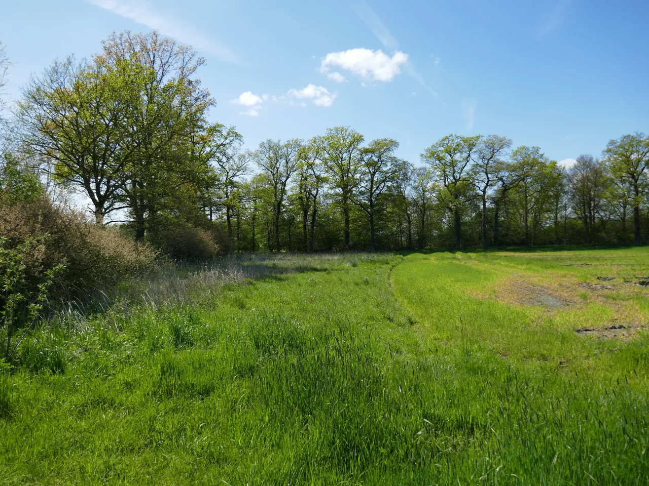 Mirlenbrink-Holtrup-Vohrener Mark